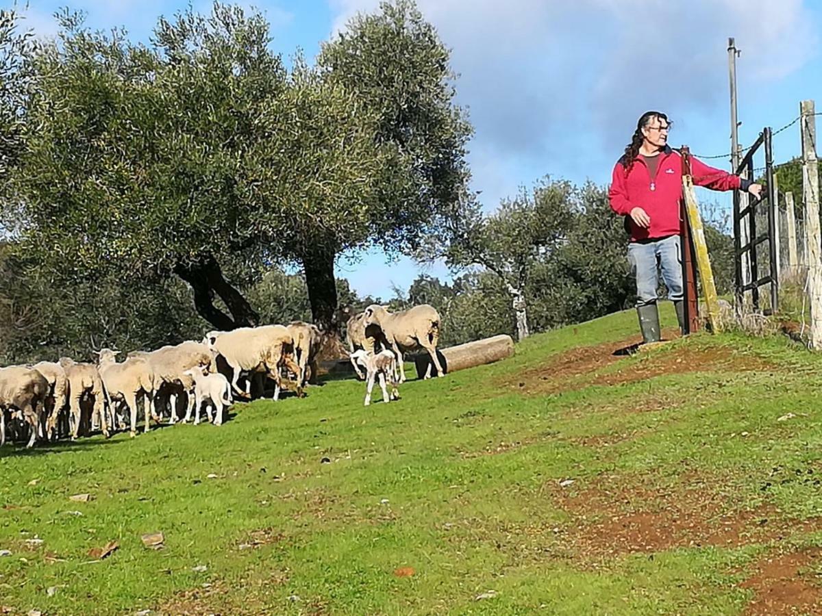 Finca la Carnicera Constantina Exteriör bild