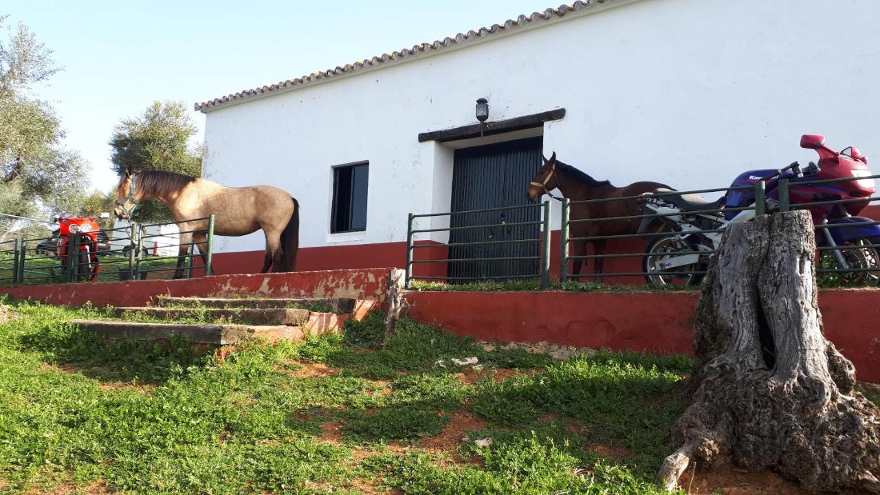 Finca la Carnicera Constantina Exteriör bild