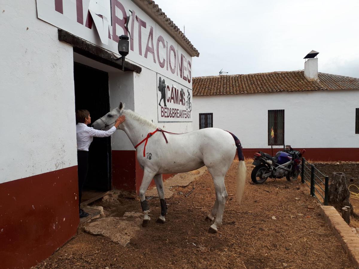 Finca la Carnicera Constantina Exteriör bild